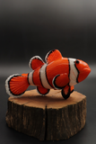 Trapper Studio Clownfish Pipe & Stand