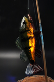 Trapper Studio Peacock Bass Pipe w/ Stand