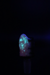 Trapper Studio Fish Slide