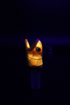 Trapper Studio Fish Slide